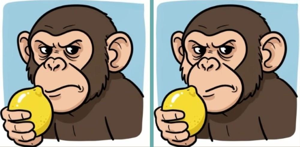 spot differences monkey with lemon
