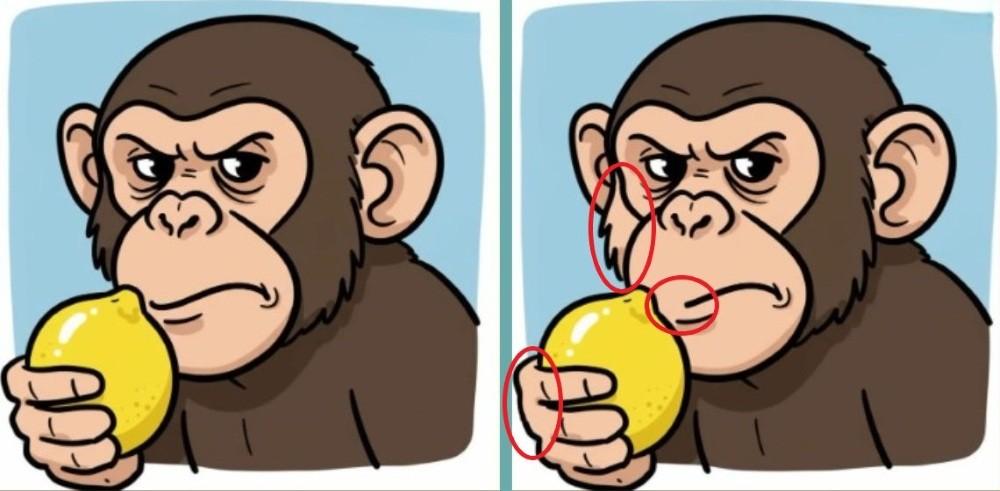spot differences monkey with lemon solution