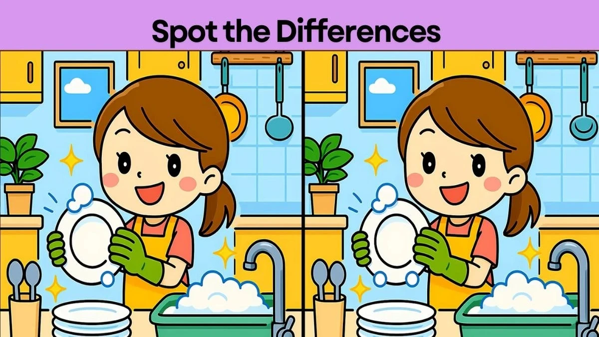 spot the differences girl washing dishes