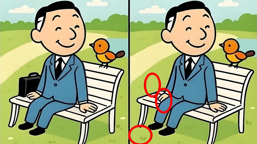 spot the differences man sitting on bench challenge solution