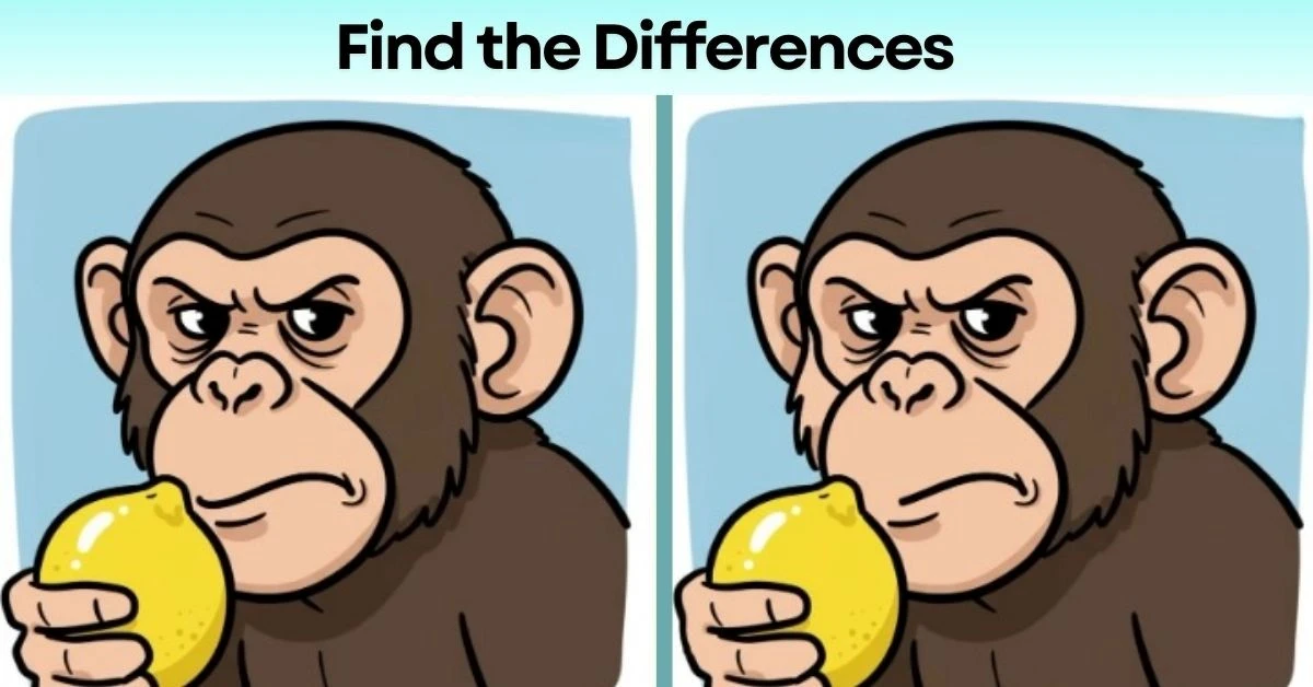 spot the differences monkey with a lemon